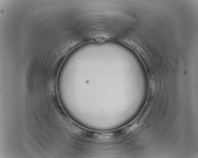 X0000078260359200611251334