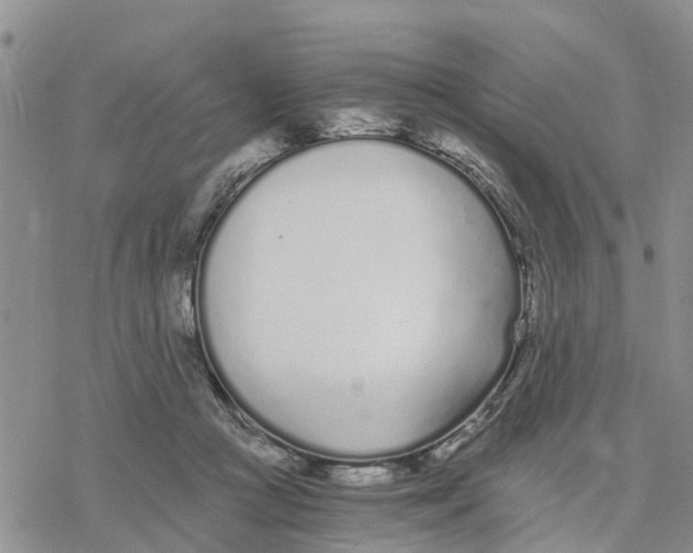 X0000078260361200611251334