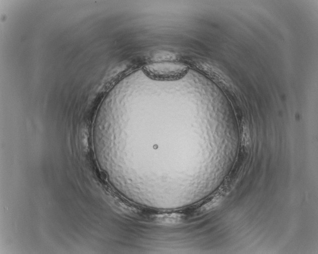 X0000078260363200611251334