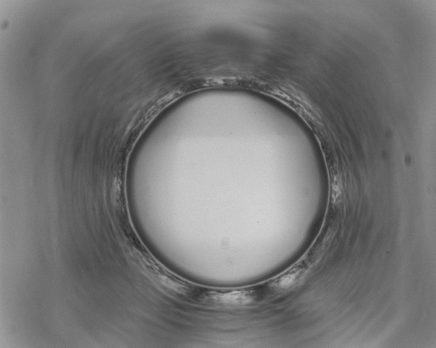 X0000078260365200611251334