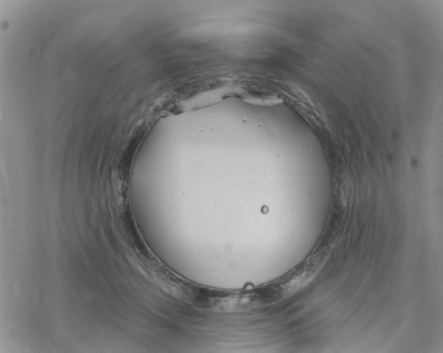 X0000078260366200611251334