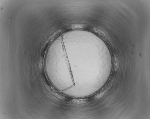 X0000078260367200611251334