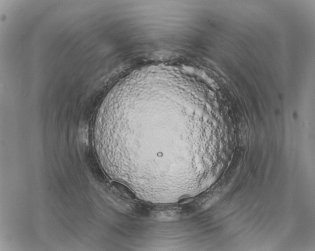 X0000078260368200611251334