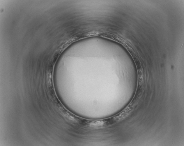 X0000078260369200611251334