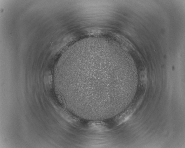 X0000078260372200611251334