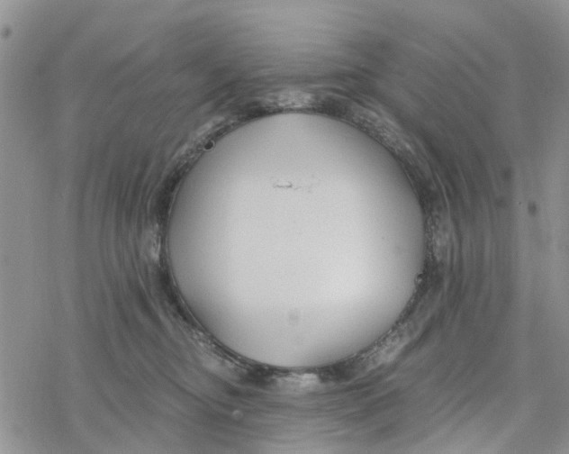 X0000078260374200611251334