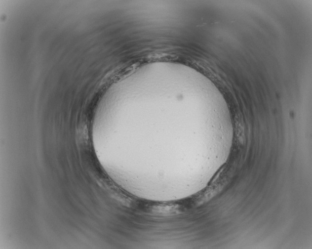 X0000078260375200611251334