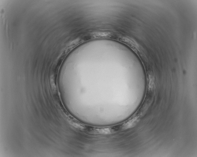 X0000078260377200611251334