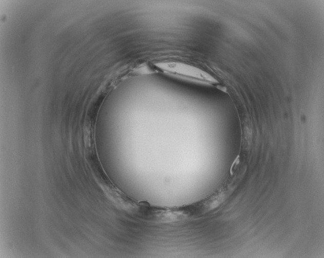 X0000078260379200611251334