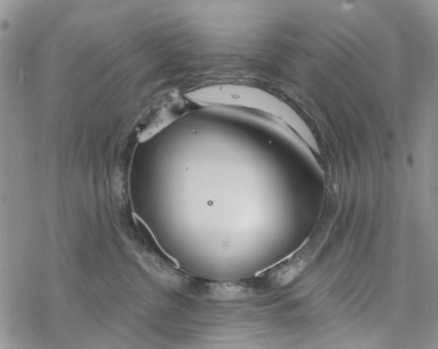 X0000078260380200611251334