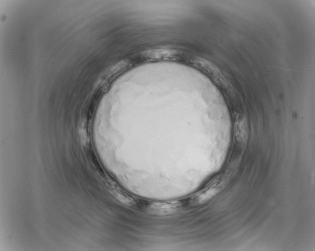 X0000078260381200611251334