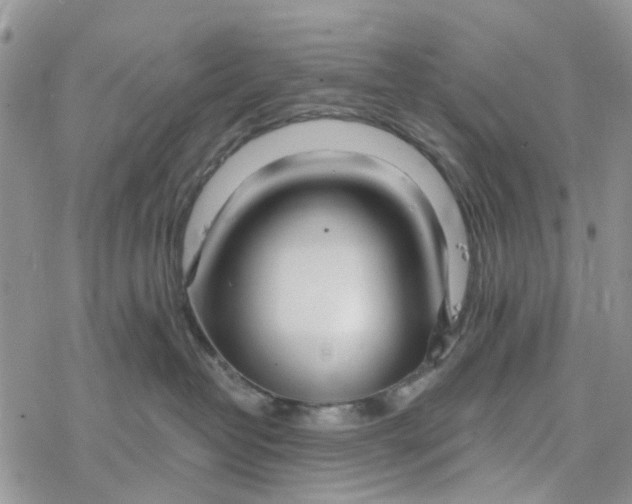 X0000078260382200611251335