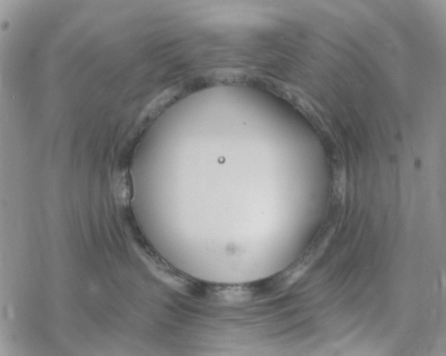 X0000078260383200611251335