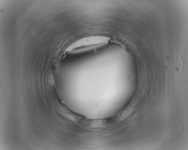 X0000078260384200611251335