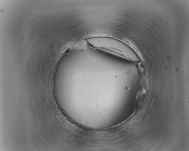 X0000078260385200611251334