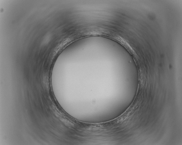 X0000078260386200611251334