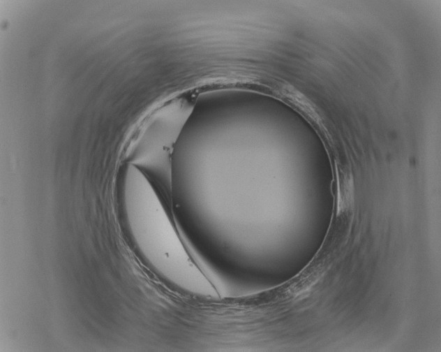 X0000078260387200611251334