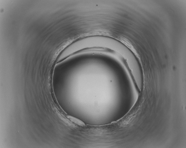 X0000078260389200611251334