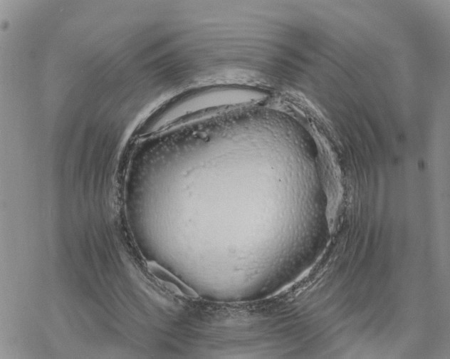 X0000078260392200611251334