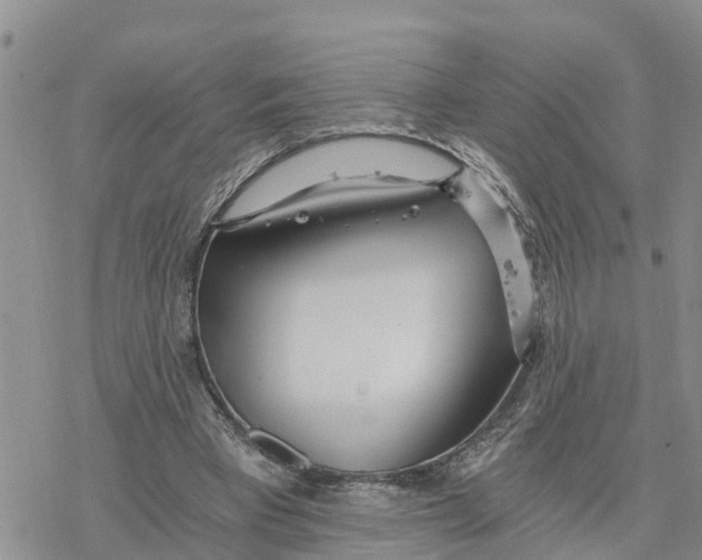 X0000078260393200611251334