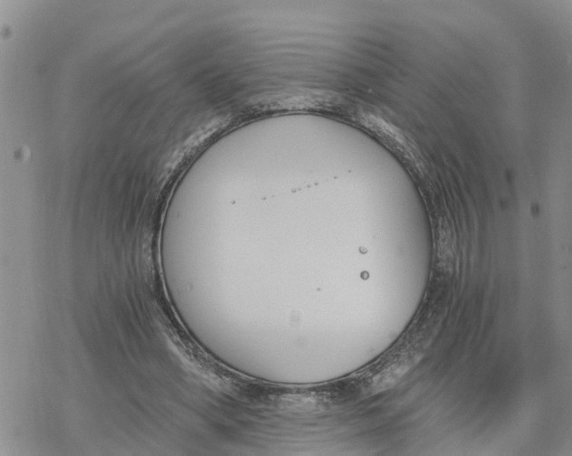 X0000078260394200611251334