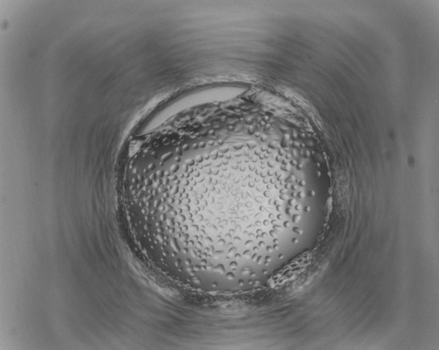 X0000078260395200611251334