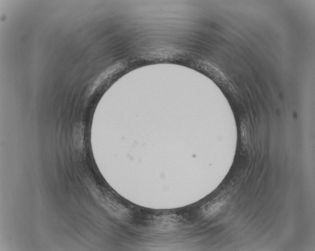 X0000078260396200611251334