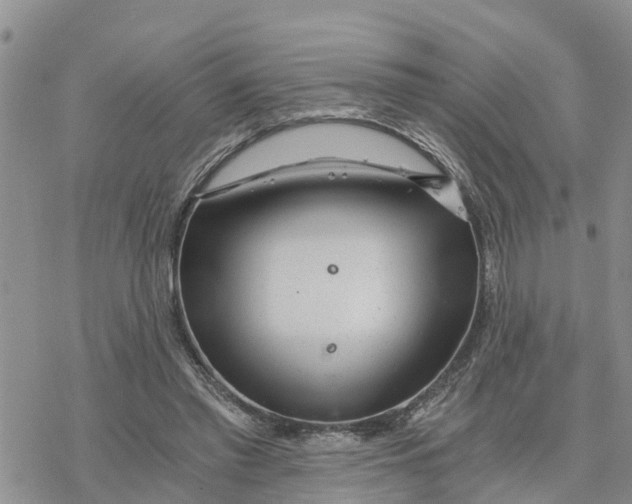 X0000078260397200611251334