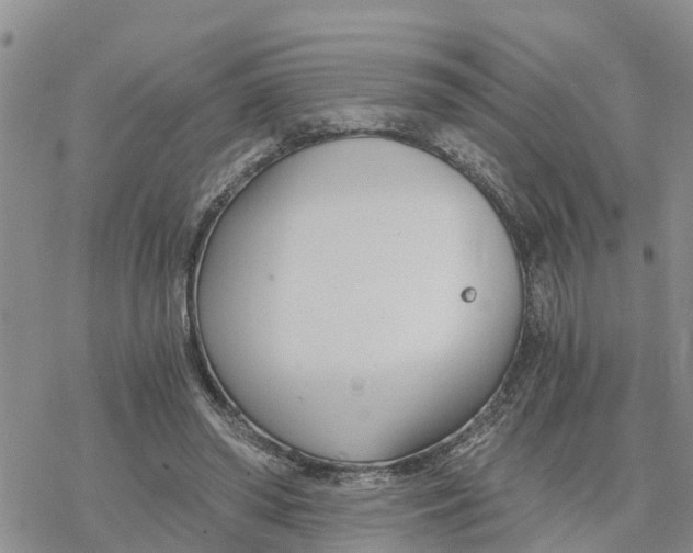 X0000078260398200611251334