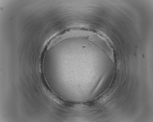 X0000078260399200611251334