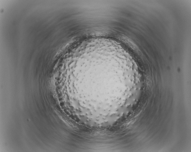 X0000078260401200611251334