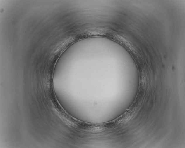 X0000078260402200611251333