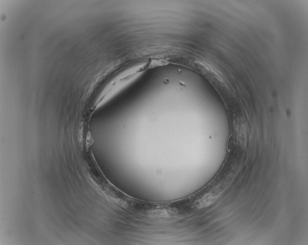 X0000078260404200611251333