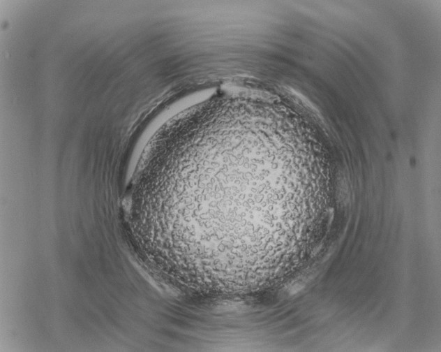 X0000078260405200611251333