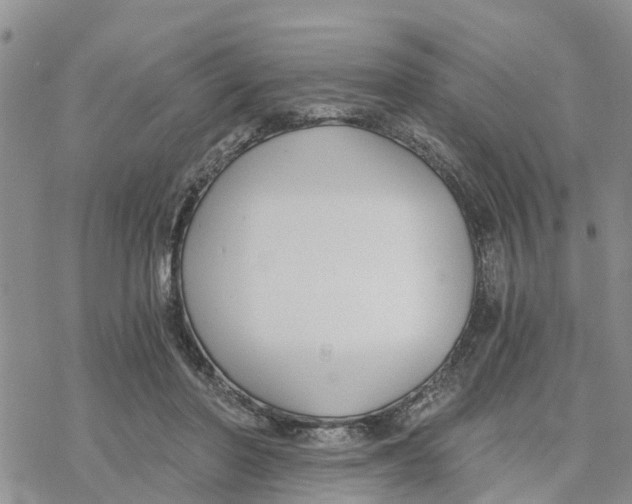 X0000078260406200611251333