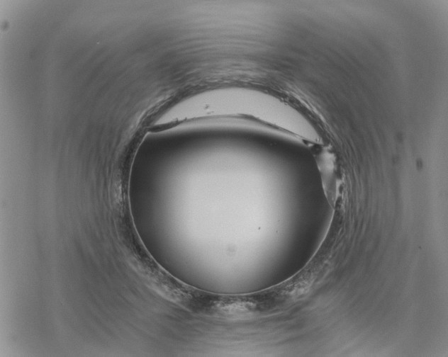 X0000078260407200611251333