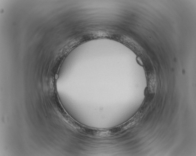 X0000078260410200611251333