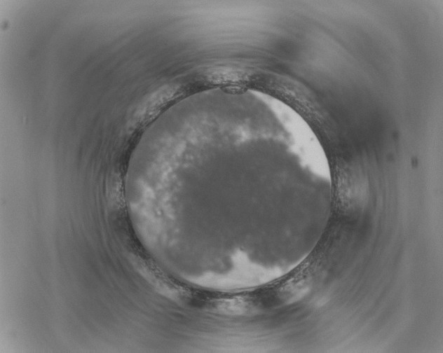 X0000078260411200611251333