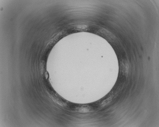 X0000078260412200611251333