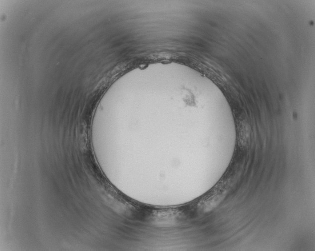 X0000078260414200611251333