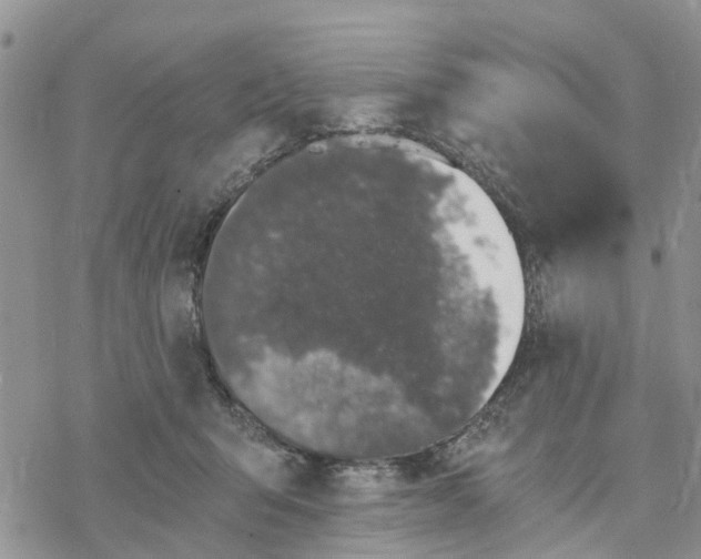 X0000078260415200611251333