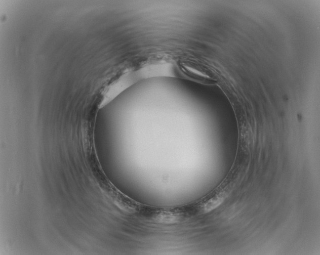 X0000078260416200611251333