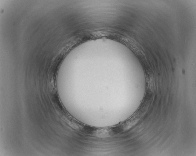 X0000078260418200611251333