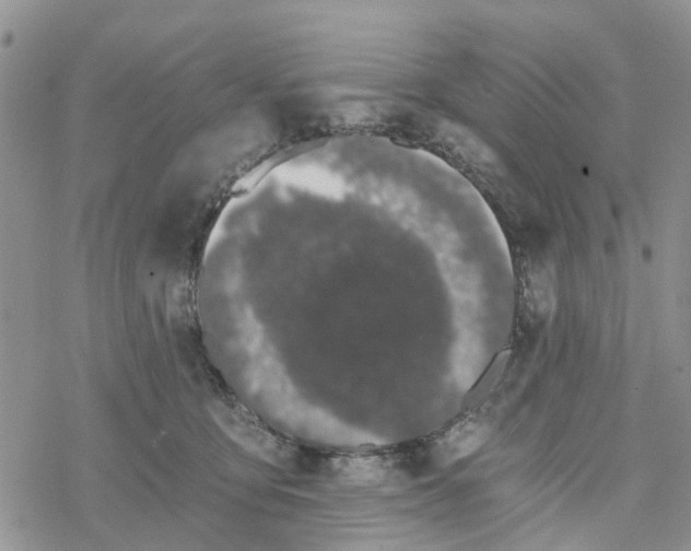 X0000078260419200611251333