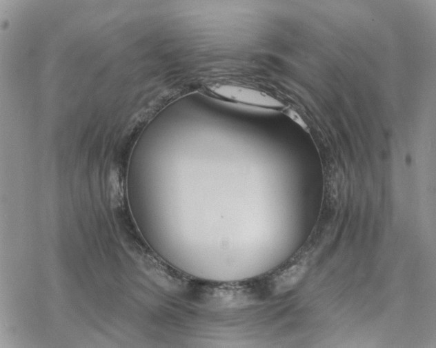 X0000078260420200611251333