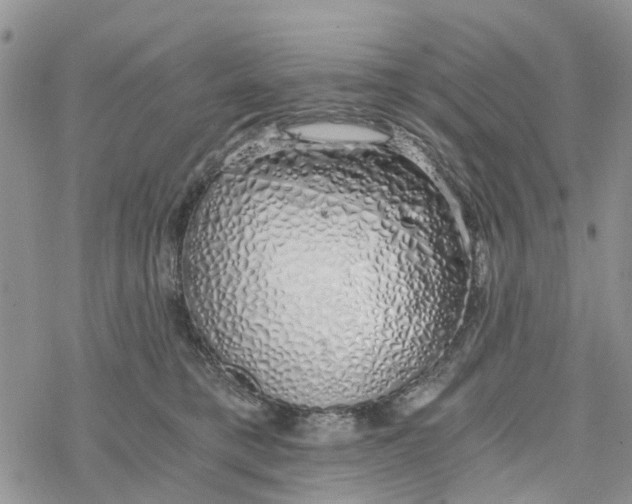 X0000078260421200611251333