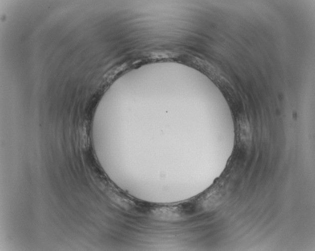 X0000078260422200611251333