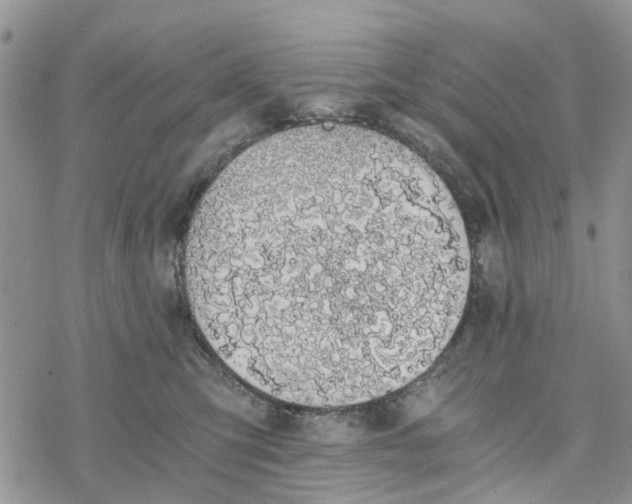 X0000078260423200611251333