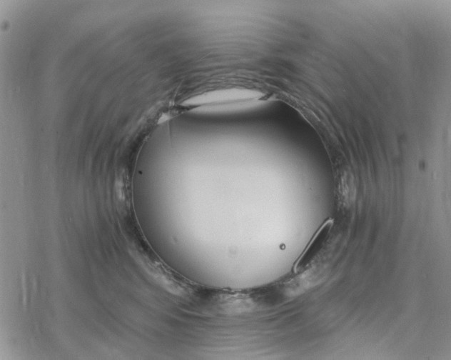 X0000078260424200611251333