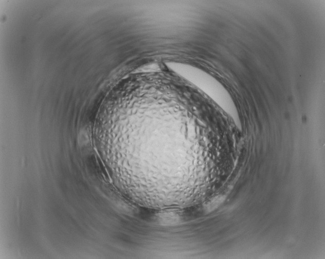 X0000078260425200611251333